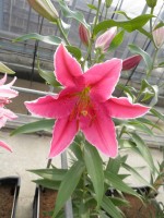 [1880 NightFever DJ No01.JPG]